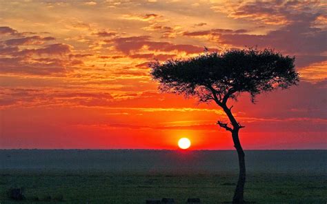 Travel through Africa: How to Travel Through Africa?