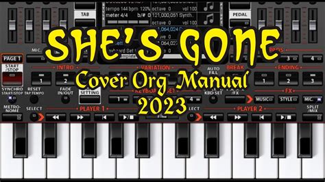 She's Gone ~ Cover Org Manual Set - YouTube