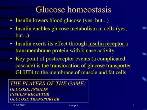 PPT - Glucose homeostasis PowerPoint Presentation, free download - ID ...