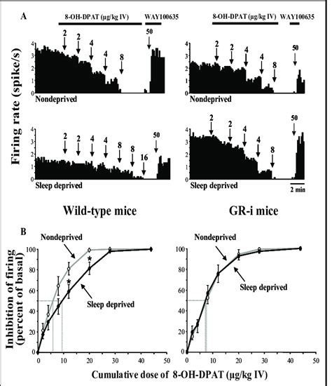 Effects of an 18-hour total sleep deprivation on dorsal raphe nucleus ...