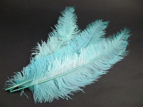 Category: Ostrich feathers natural and dyed – Jaffe