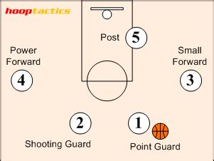 Geladen Rendezvous Dämon positions basketball and their specific roles ...