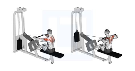 Cable Rear Delt Row - Guide, Benefits, and Form