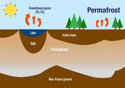 Melting Permafrost Illustrations, Royalty-Free Vector Graphics & Clip Art - iStock
