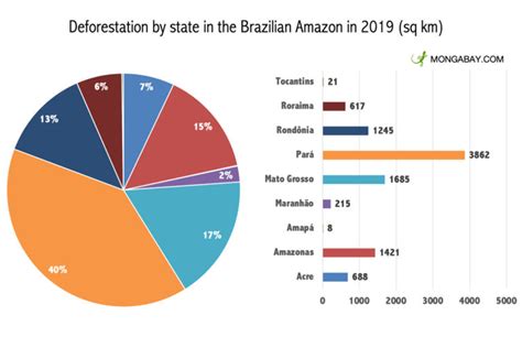 Brazil’s new deforestation numbers confirm the “Bolsonaro Effect ...