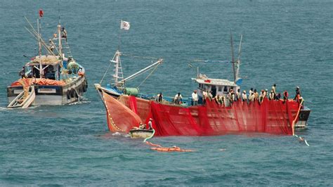 Purse seine fishing reveals faultlines in fisher community - The Hindu