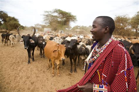 Pastoralists are an asset to the world — and we have a lot to learn from them