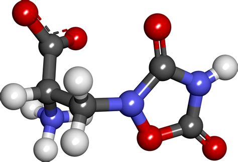 Amino Acids