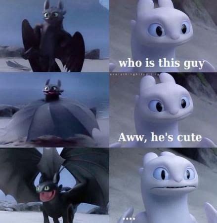 55 Ideas How To Train Your Dragon Funny Tumblr Night Fury | How train your dragon, How to train ...