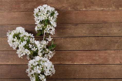 Free Photo | White flower on wooden background