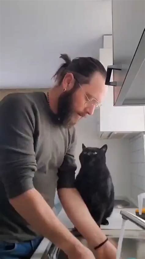 A cute black cat tries to get kisses from owner while he's doing the ...