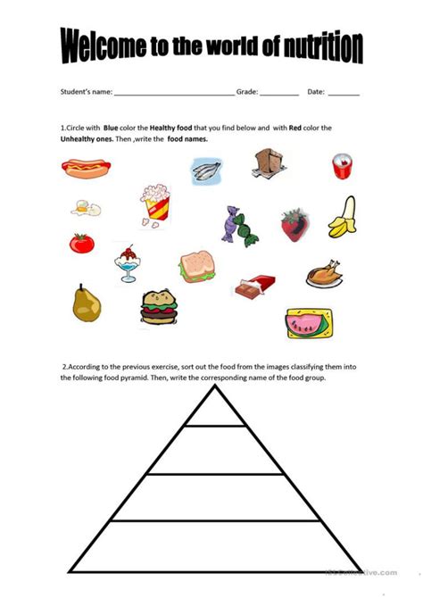 Nutrition Worksheets For High School — db-excel.com