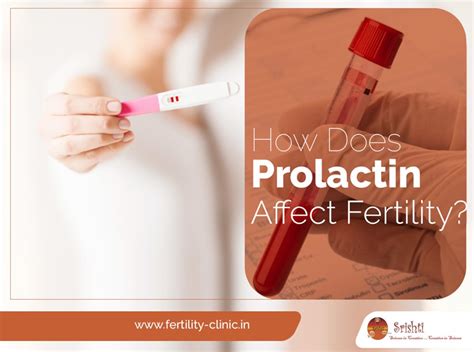 what are the Importance of Normal Prolactin Level Before IVF