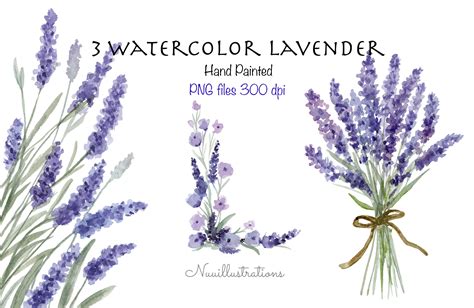 Lavender Flower Border Clipart