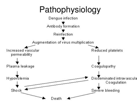 Dengue fever ,Dengue shock syndrome