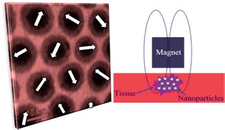 Magnetic nanoparticles: synthesis, functionalization, and applications ...