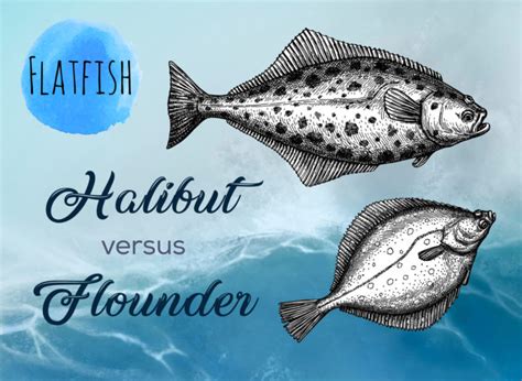 Flounder vs. Halibut: What is the difference? - Tastylicious