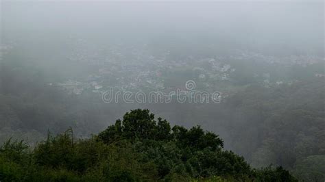 Doddabetta Peak in Cloud Ooty National Park View Trip Photo Stock Image - Image of forest ...