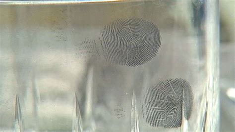 Fingerprint | anatomy | Britannica.com