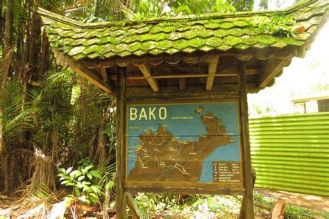 Bako National Park - Haven for Wildlife Enthusiasts and Nature Lovers