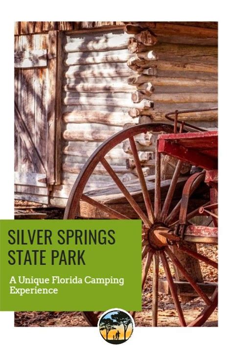 SILVER SPRINGS STATE PARK | State parks, Silver springs, Best campgrounds