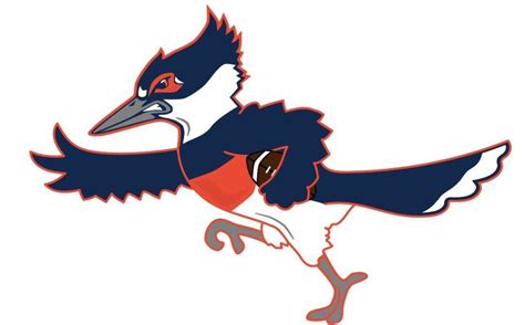 Association on American Indian Affairs endorses kingfisher as new U of I mascot - Smile Politely ...