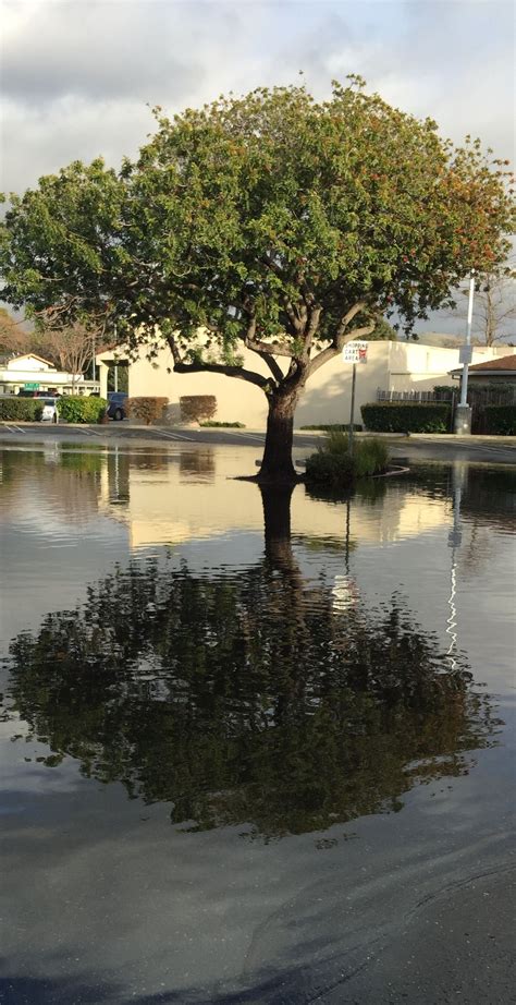 Rainwater reflection Reflection Photos, Water Reflections, Rainwater ...