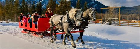 Banff Sleigh Rides - Discover Banff Tours