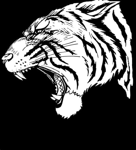 Download Fierce Tiger Roar Illustration | Wallpapers.com