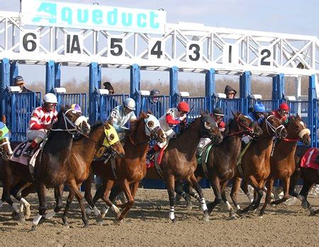 Weather Delays Aqueduct Stakes Races - BloodHorse