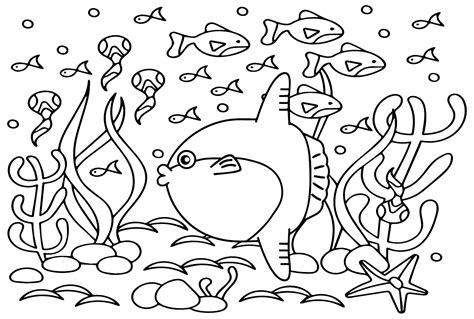 Giant Ocean Sunfish Coloring Page - Free Printable Coloring Pages