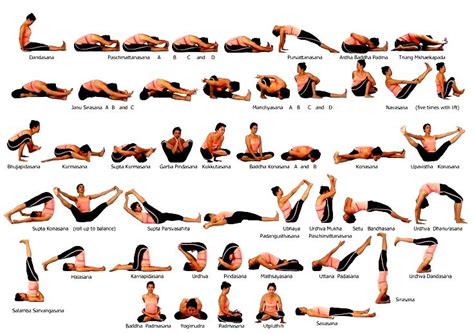 Ashtanga Yoga Poses - Work Out Picture Media - Work Out Picture Media