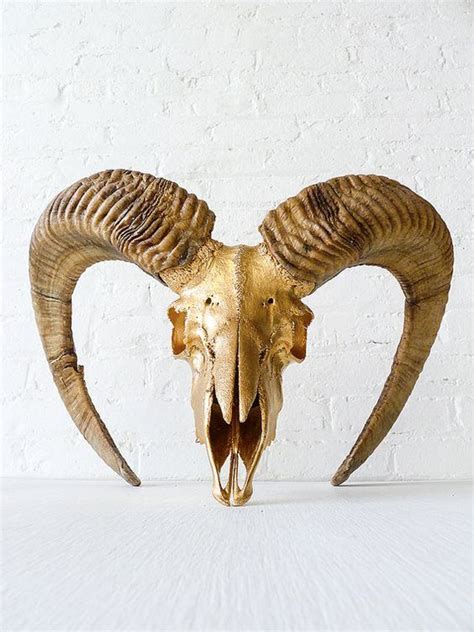 Pin by Wesardry/Wesley A Ross on Skulls and Bones Antlers and Horns ...