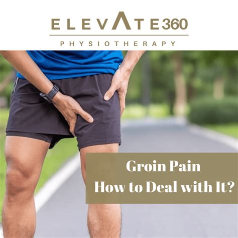 Groin Pain - How to Deal with Them - Elevate Physiotherapy