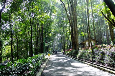 Taman Hutan Raya Ir Djuanda-Kota Bandung - Direktori Tempat Wisata