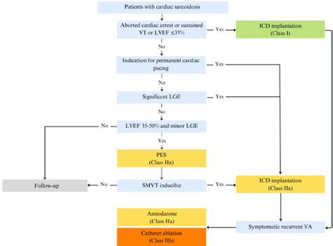 Suggested treatment algorithm for patients with clinically manifested... | Download Scientific ...