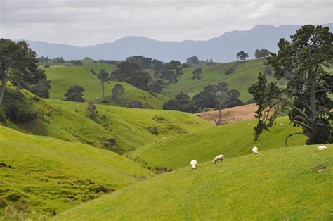 Hobbiton - Our walk through the Shire in New Zealand