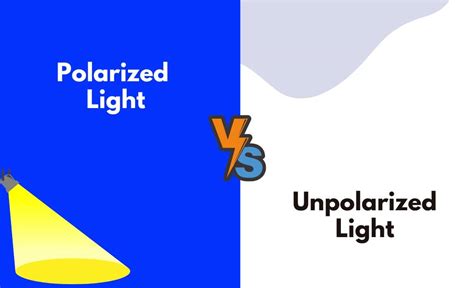 Polarized vs. Unpolarized Light - What's The Difference (With Table)