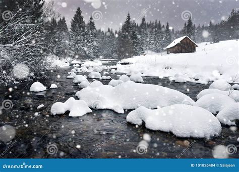 Winter Landscape with Snowing, Fresh Snow Stock Photo - Image of ...