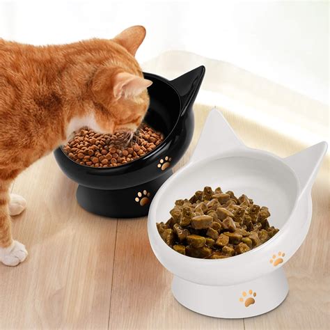 Amazon.com: Cat Bowls for Indoor Cats, 2 Pack Ceramic Raised Slanted ...