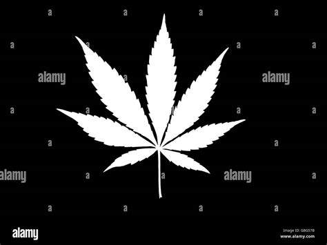 White silhouette of cannabis leaf on black background Stock Photo - Alamy