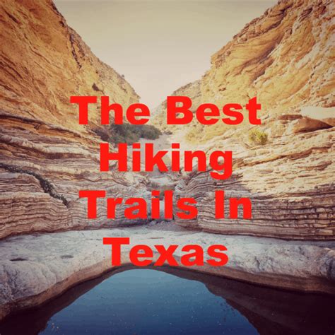 The Best Hiking Trails in Texas for Beginners and Experienced Hikers - All Outdoors Guide