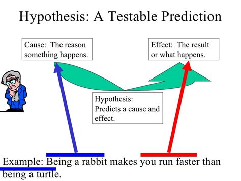 Hypothesis