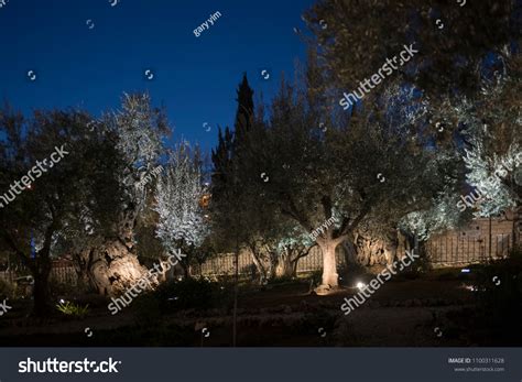 141 Gethsemane Night Images, Stock Photos & Vectors | Shutterstock