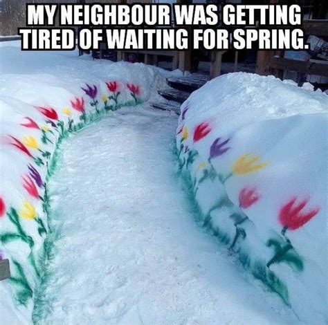 #snow #winter #spring #weather #humor #jokes #funnymemes | Snow fun, Winter fun, Funny pictures