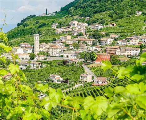 Exploring Prosecco: Origins and Production Regions