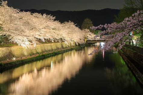 Okazaki Canal With Sakura Tree Stock Image - Image: 38852071