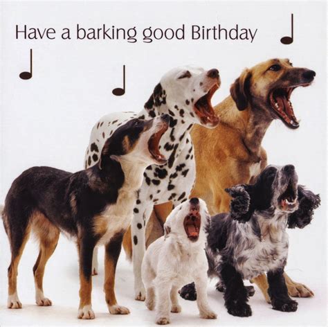 Funny Birthday Card | Hund geburtstag, Alles gute zum geburtstag hund ...