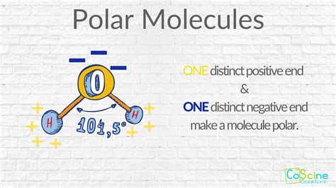 How Do You Teach Polar Vs. Nonpolar Molecules? — CoScine Creative