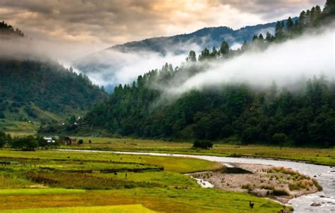 Explore 10 Ziro valley tour l Arunachal Pradesh